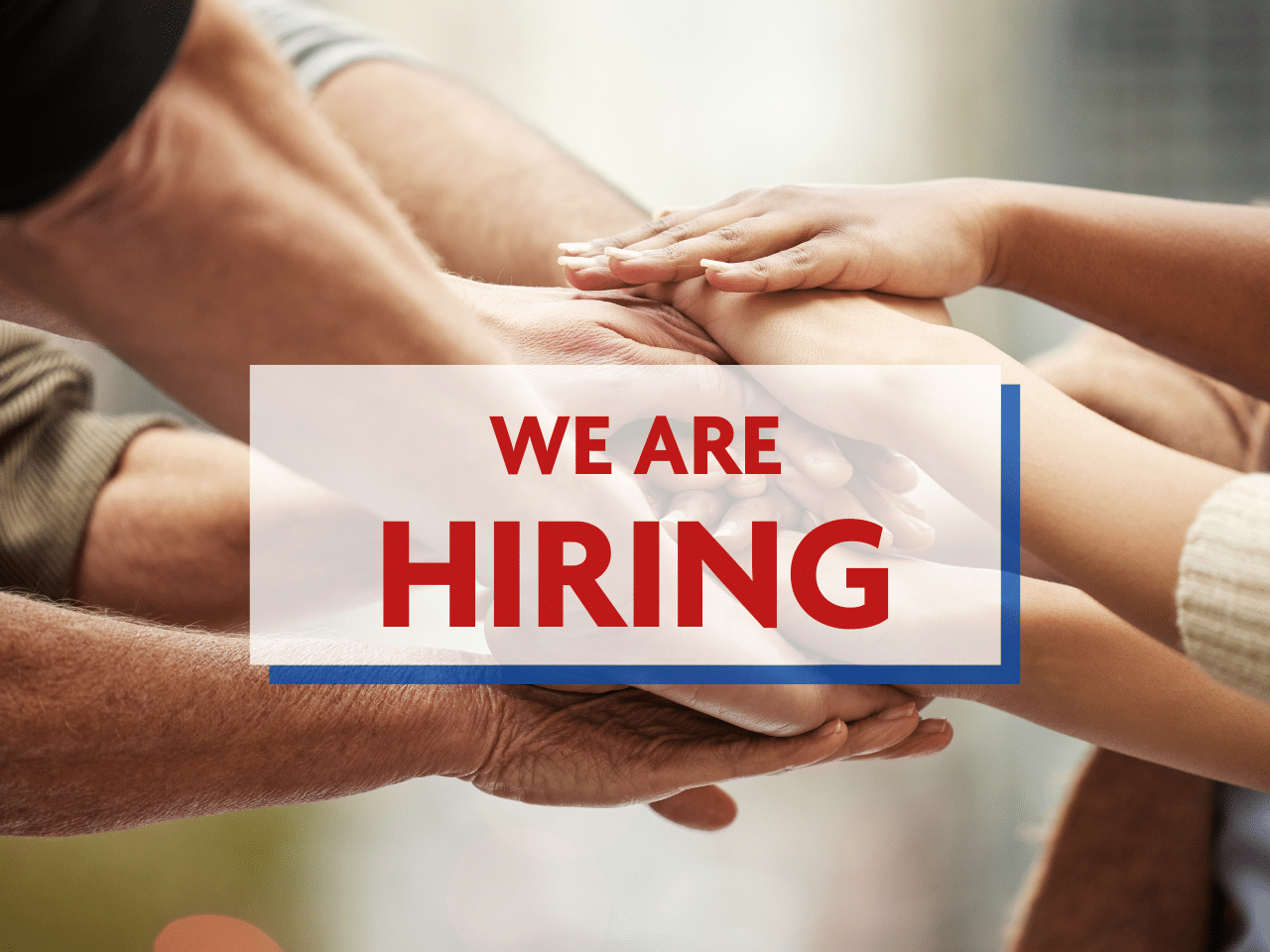 Join Our Team: Seeking a Dynamic Director of Development at Pitch In For Baseball & Softball